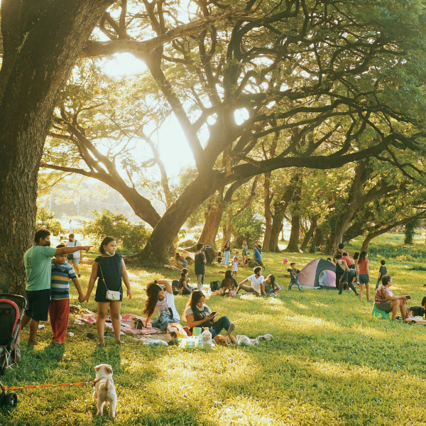 City and County Parks & Recreation Departments City and County Parks & Recreation Departments
